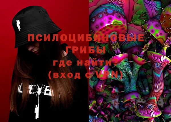 ГАЛЛЮЦИНОГЕННЫЕ ГРИБЫ Арсеньев