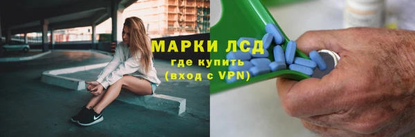 ГАЛЛЮЦИНОГЕННЫЕ ГРИБЫ Арсеньев