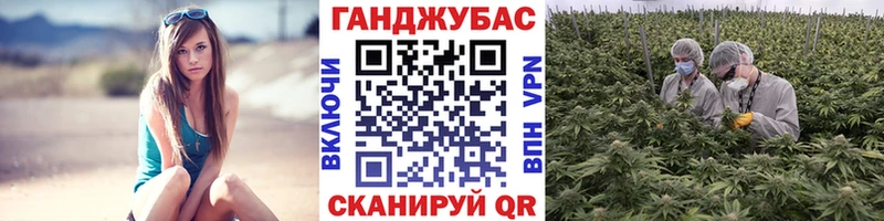 Марихуана планчик  Спас-Деменск 
